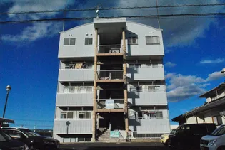 ステイツビルの画像