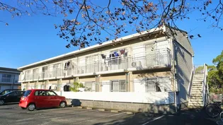 アミー Aの画像