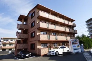 ブルー シエルの画像