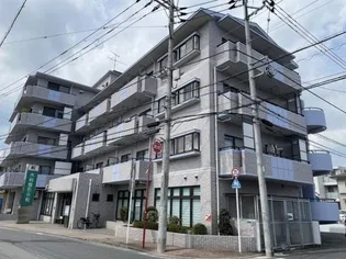 テイスティーヒルズの画像