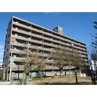 サーパス中の島桜通り【3階】の外観