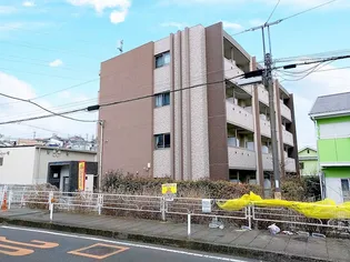 セレスティアルアスカの画像