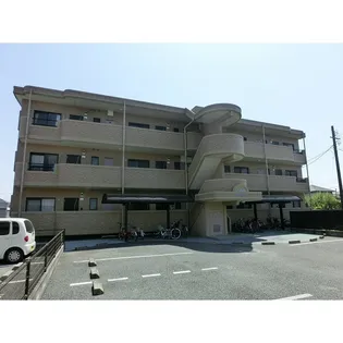 ホワイトアルバムの画像