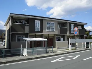 モルティ カミジマCの画像