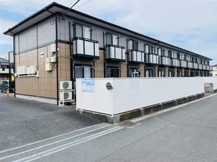 パレスフェオの画像