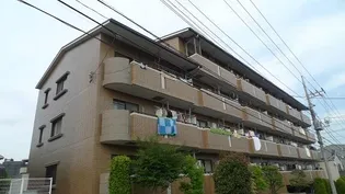 パレ ハイブリッジの画像