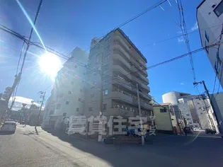 ベルドミュールの画像