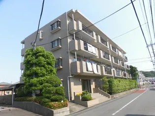 ドミール オークの画像