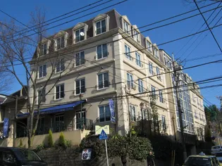 グレイスビーノの画像