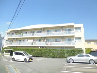 アクール アンビアの画像