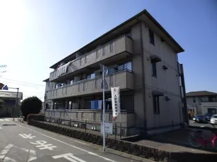 セジュール山の根の画像
