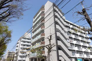 岡山県岡山市北区京町【マンション】の外観
