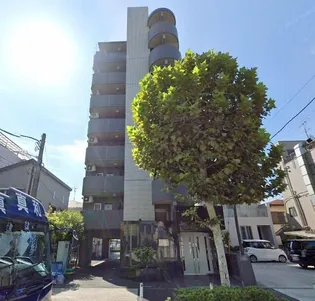 ソフィアコートの画像