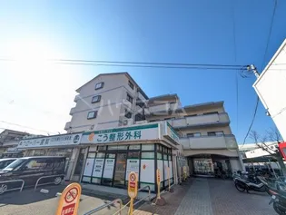 クレール白鳩の画像
