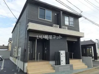 ココンの画像