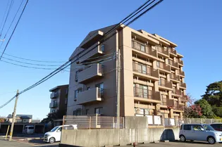 メイプル紫竹山【3階】の外観