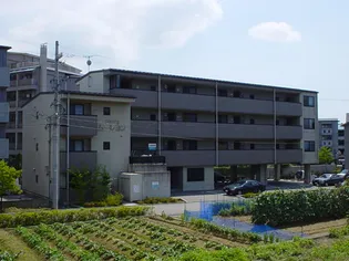 ボルグムーレヨンの画像