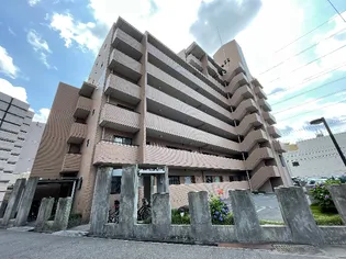 サウス中平【6階】の外観