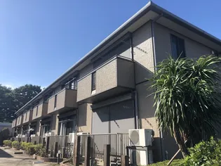 オアシス02の画像