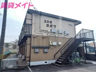 コスモセガワの画像