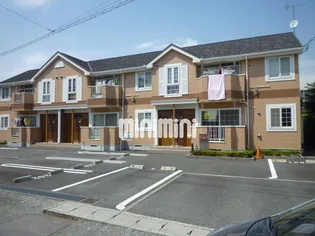 カメリア24の画像