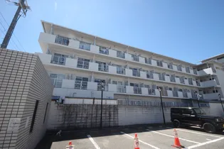 大阪府泉大津市昭和町【マンション】の外観