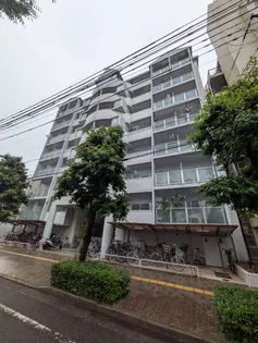 アルファ枝川の画像