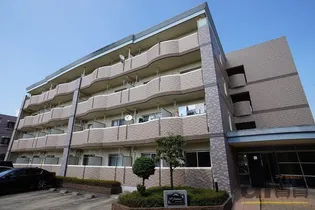 W フォンターナの画像