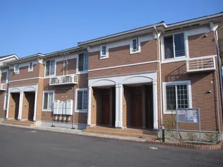 スカイパインBの画像