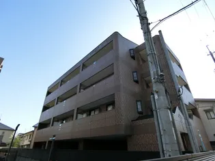 パーム ヒルズの画像