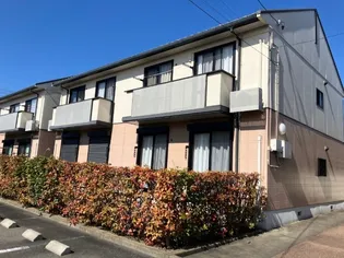 MASTTOWN本今 I Bの画像