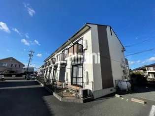 シルキーMの画像