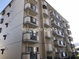 ジュネス星野の画像