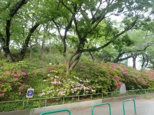 笹川荘【1階】の周辺