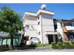 駅前ダイナミックマンションの画像