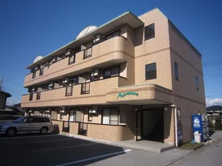 アドヴァンスIIの画像