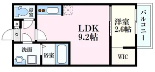 シャインライズ楽々園【2階】の間取り