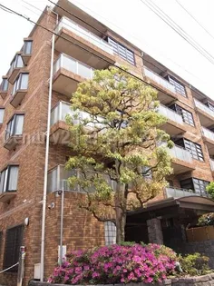 マイネブルクの画像