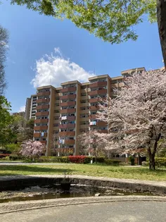 南永田団地1ー3号棟の画像