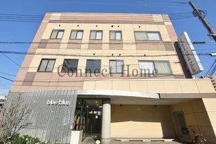 ウイビルの画像