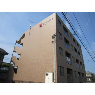 LIV FORESTAの画像