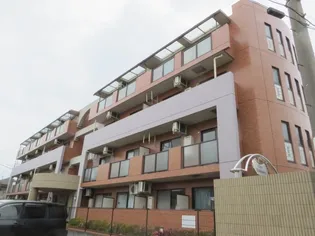 クリア パーシモンの画像