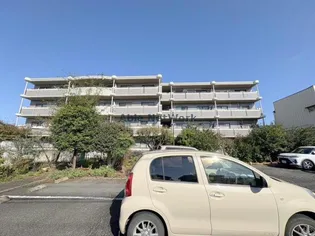 ウィルコートの画像