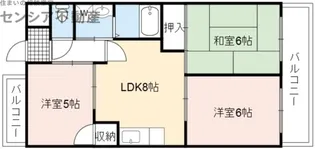 グレースすわ【4階】の間取り