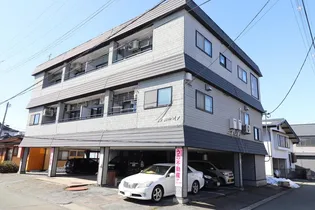 シサルパインの画像