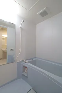 ロイヤルプレイス010の風呂