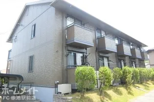 アネーロの画像