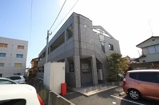 コンフォール 白梅の画像