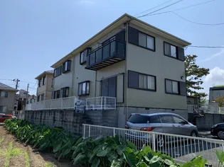 ドルフィンひとみの画像