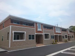 ヴァイオレットAの画像